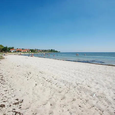 Semesterbostad With A Fireplace 267